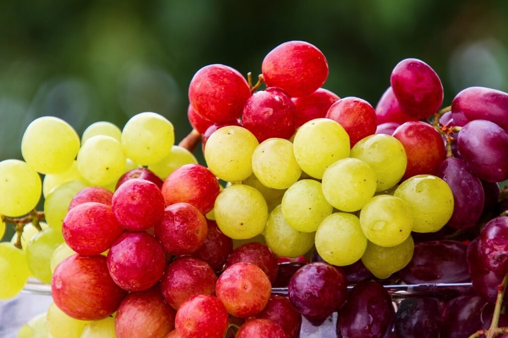 Can Eating Too Many Grapes Make Your Stomach Hurt? Image