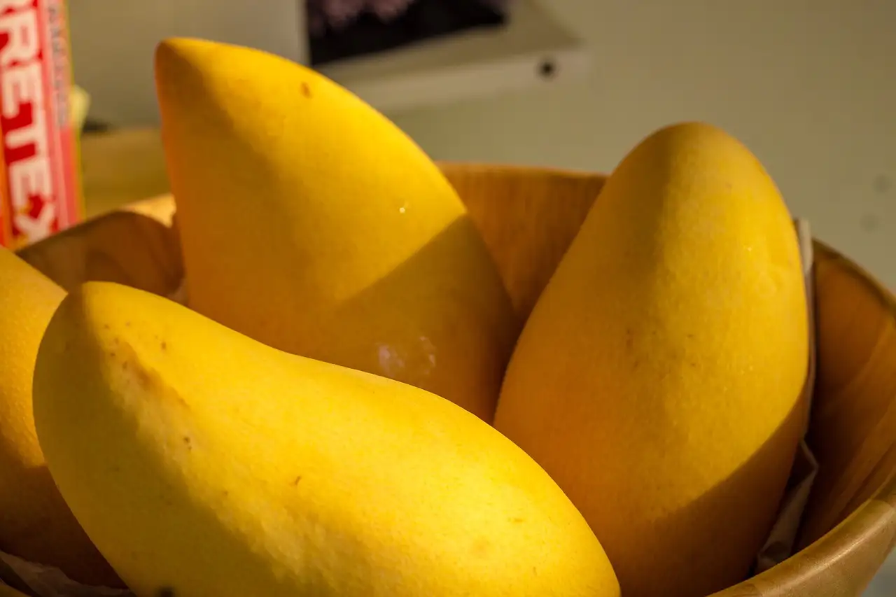 The Role of Mangoes in Strengthening Immunity During Jaundice Image