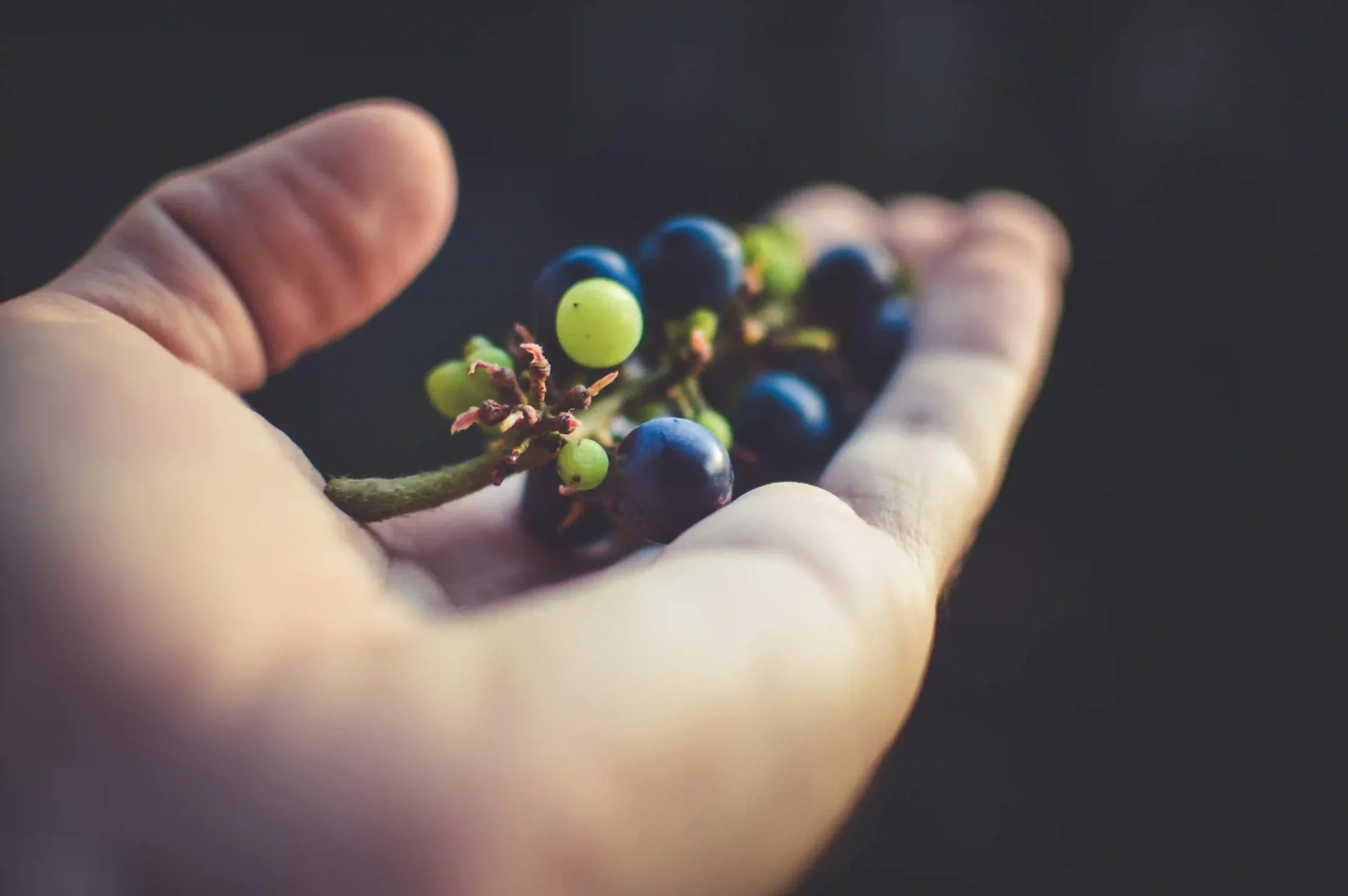 How Many Grapes Can You Eat Without Triggering Acid Reflux? Image