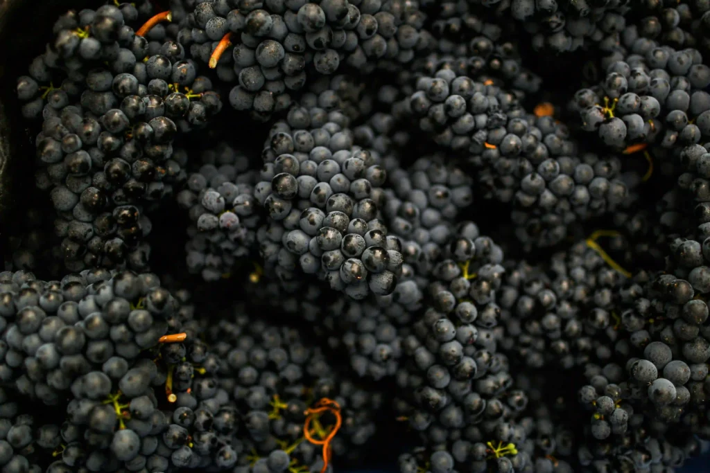 Grapes Image