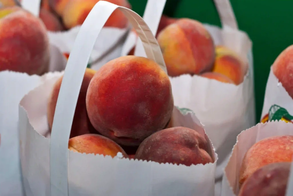 Do Insects Play a Role in Dispersing Peach Seeds? Image