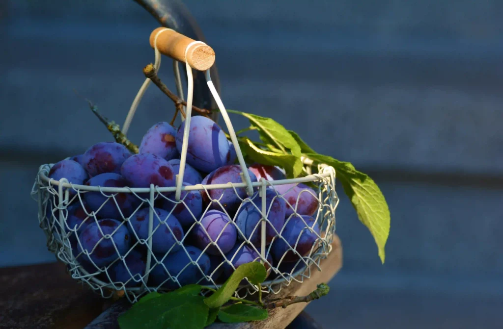 Are Grapes Hard on Your Stomach? Image