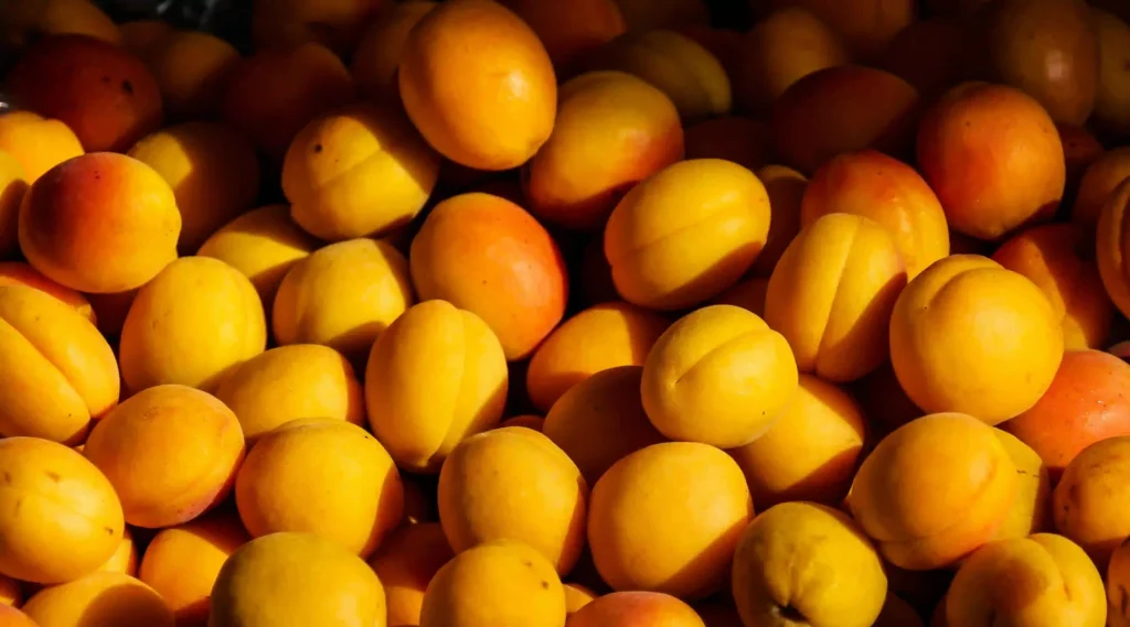 Are Peach Seeds Harmful to Animals? Image