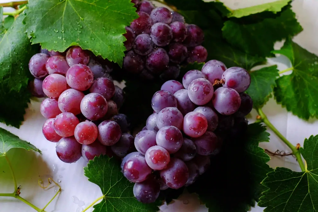 Are Grapes Safe for People on Blood Pressure Medication? Image