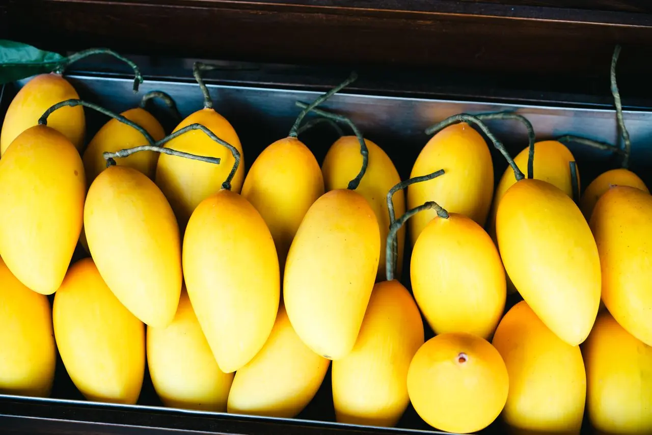 The Surprising Link Between Mango and Coughing Image