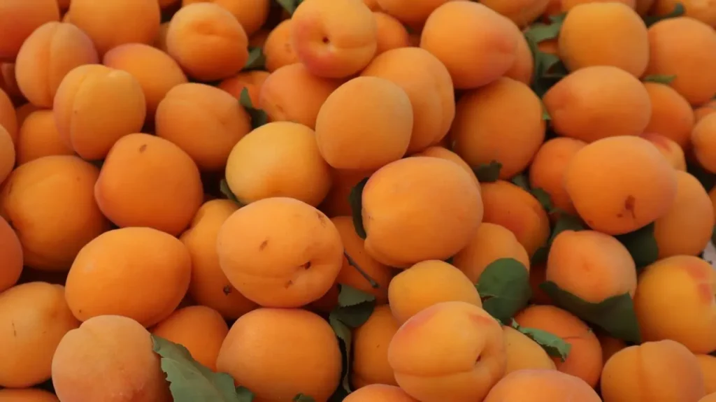Can I Eat Peach at Night Image