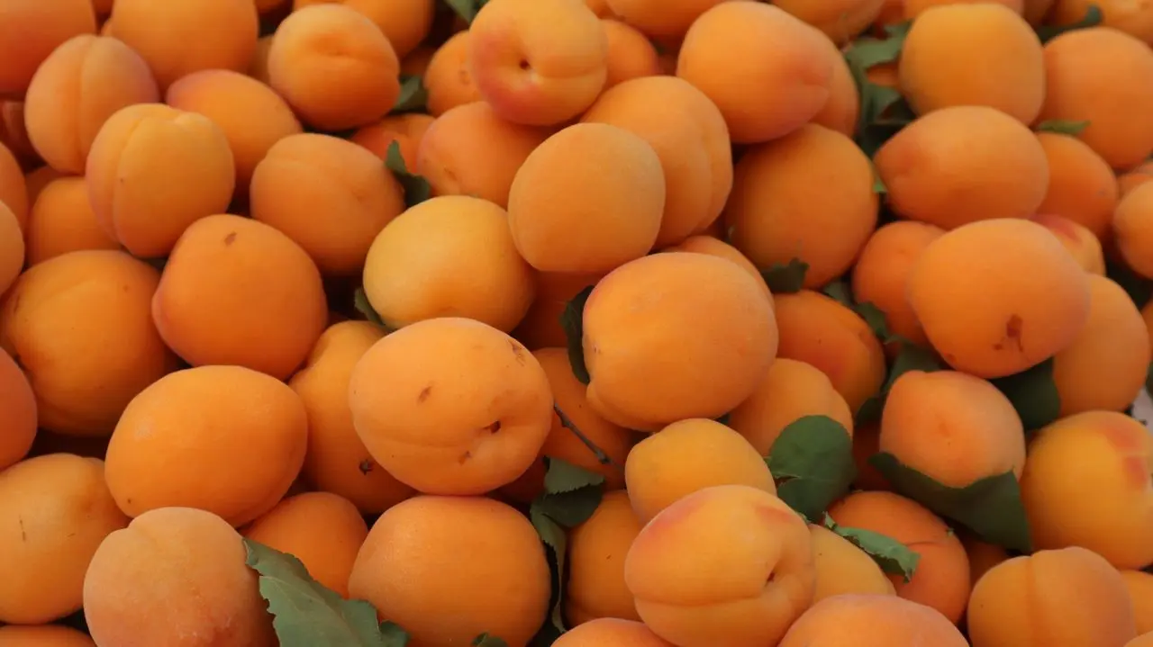 Can I Eat Peach at Night Image