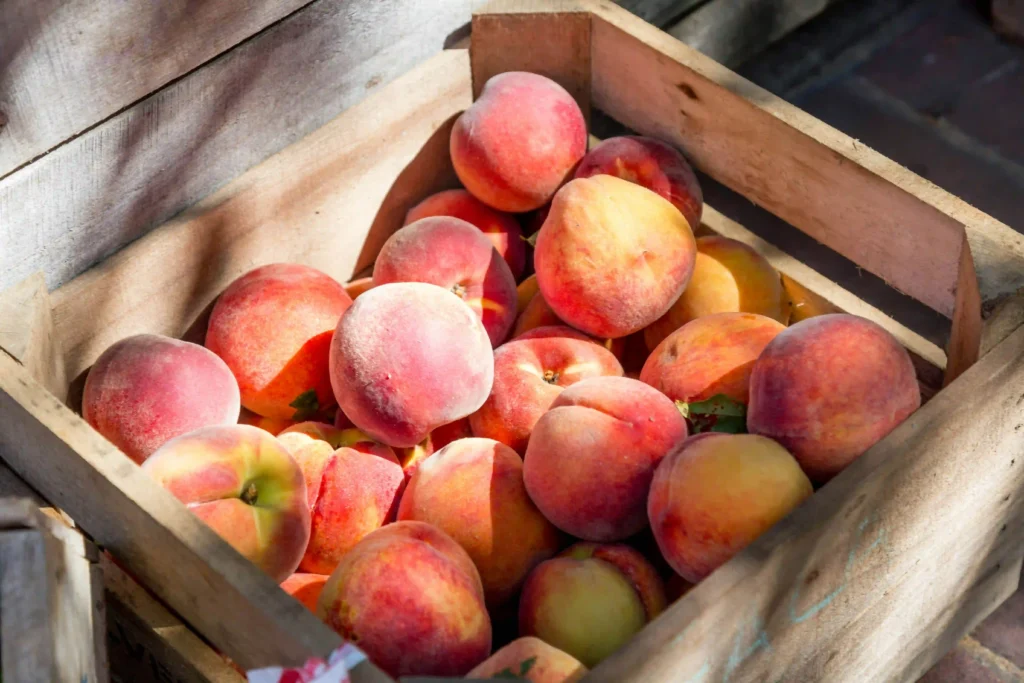 Can Overripe Peaches Cause Digestive Issues? Image