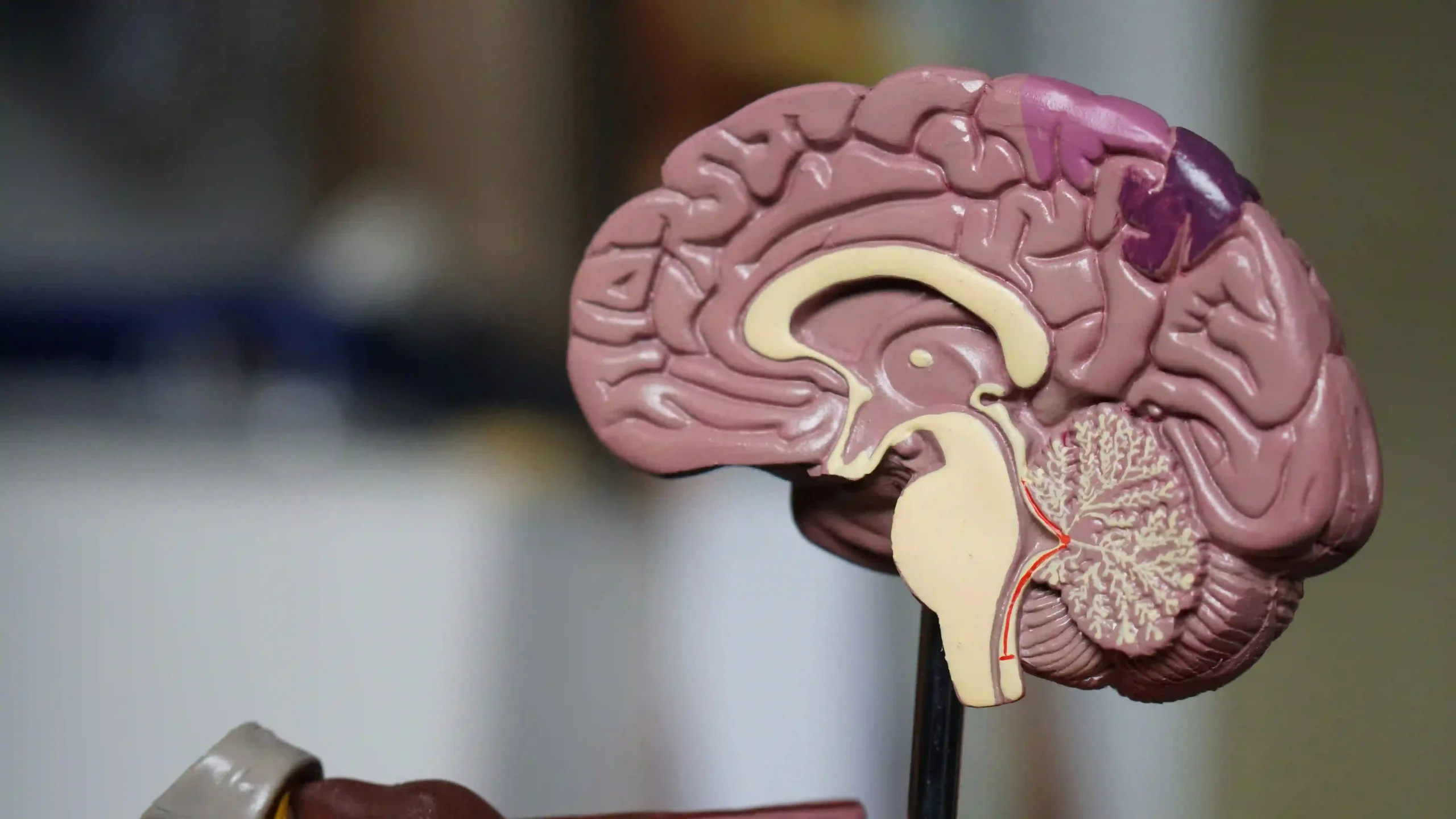 Inhaling GAS could Protect against Alzheimer's Disease Study Suggests Image