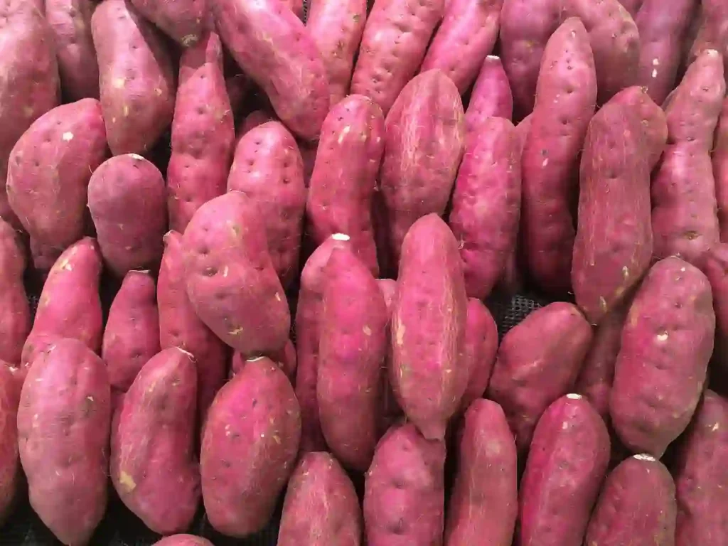 sweet potato Image