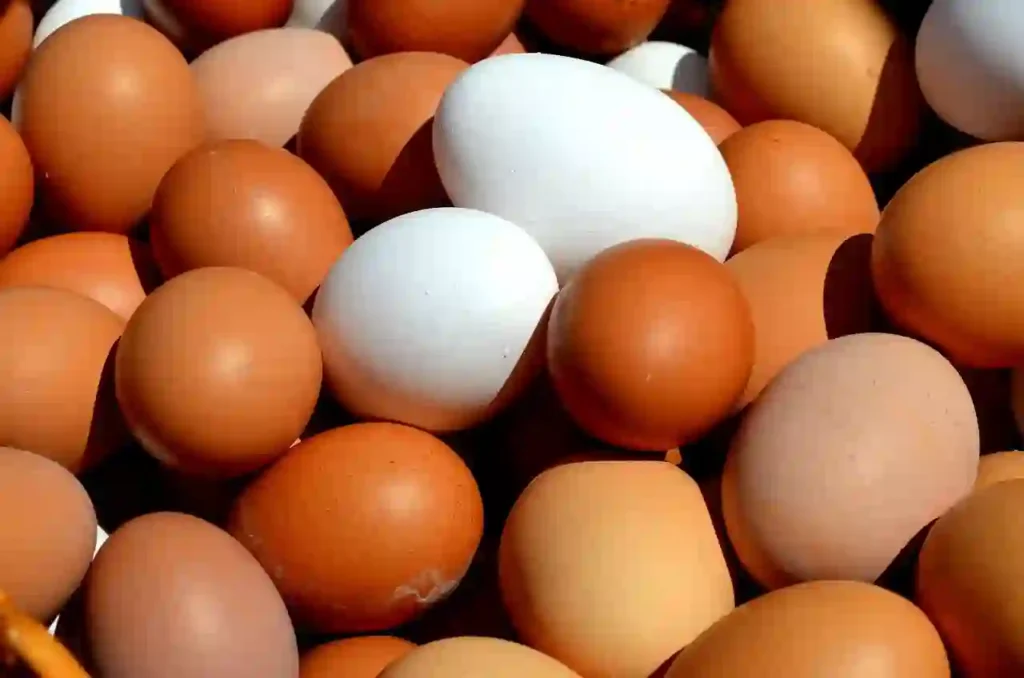 Egg Image