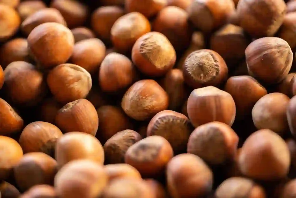 Hazelnuts Image