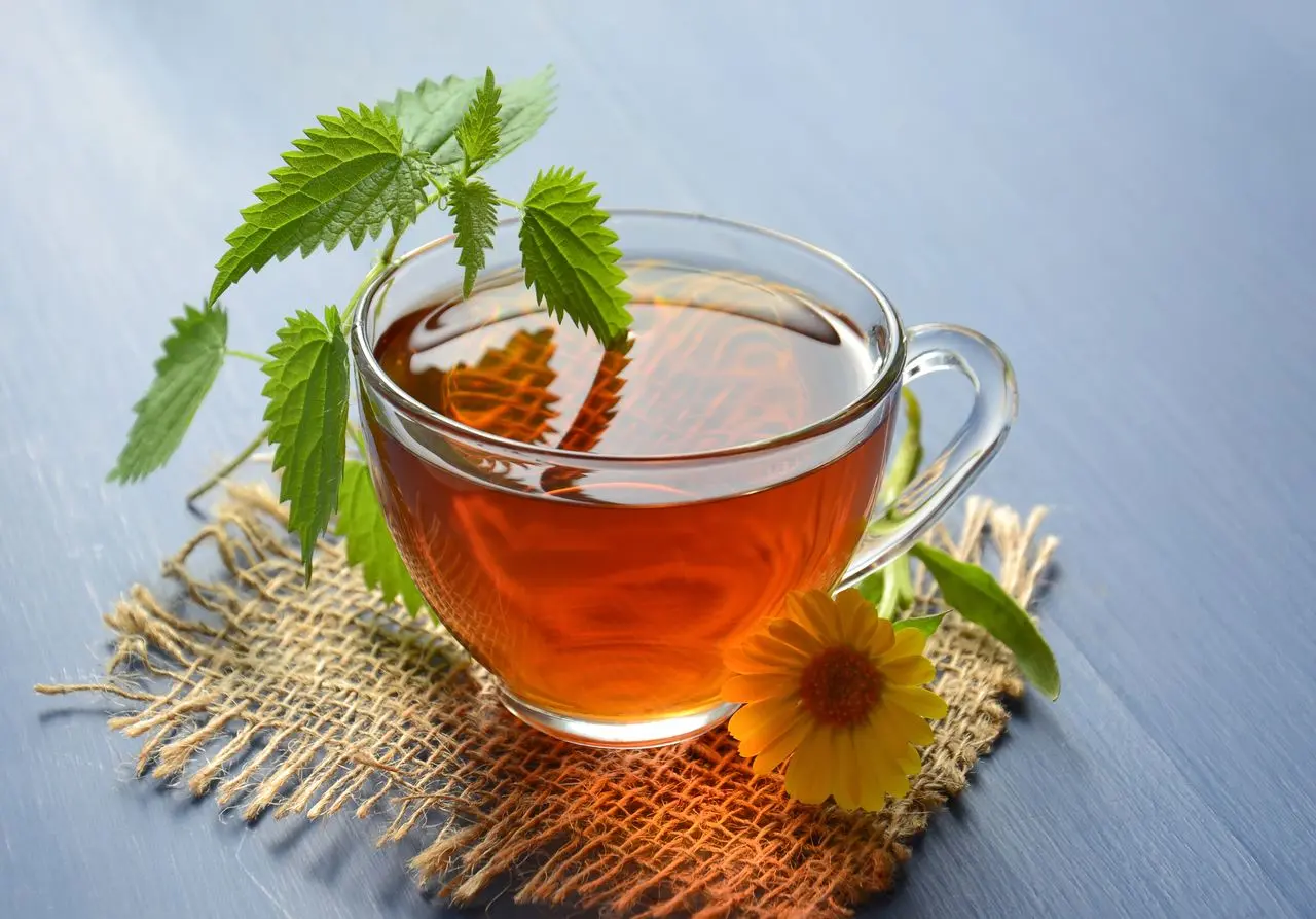 Herbal Teas to Detoxify and Cool the Body Image