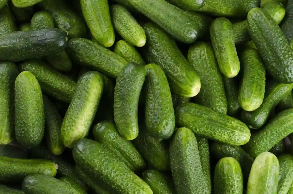 Cucumbers Image