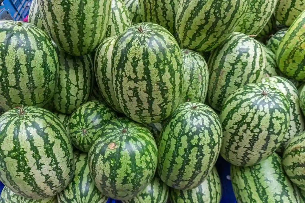 Watermelon Image