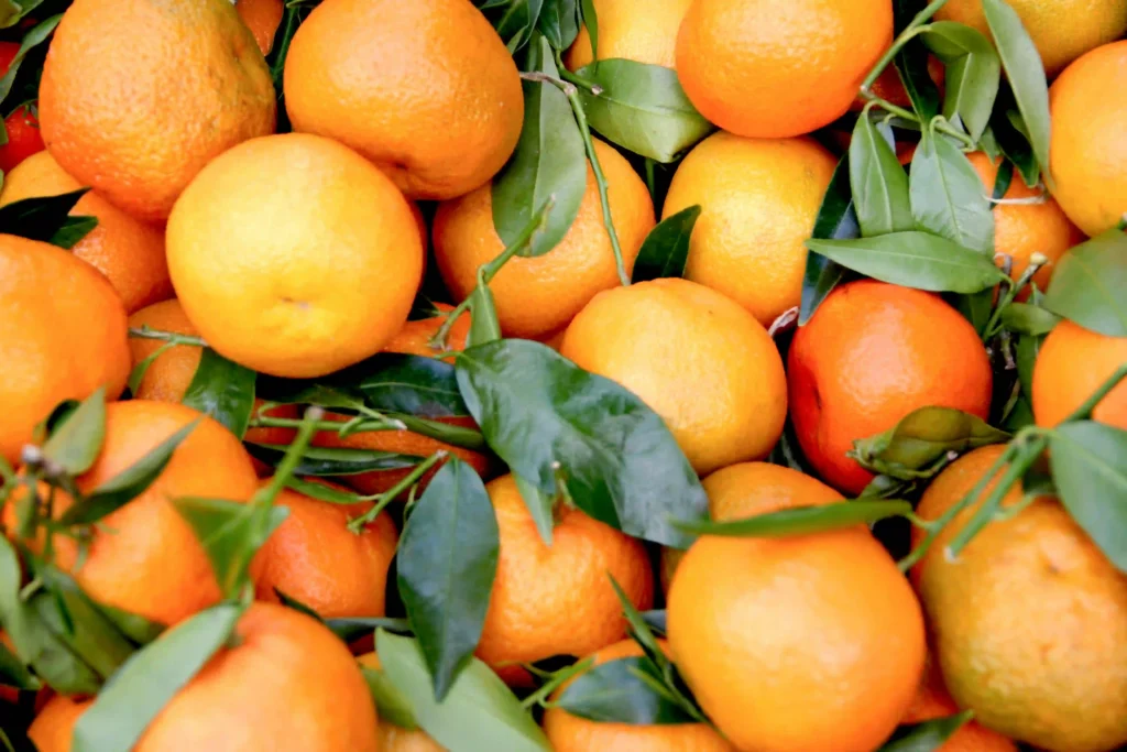 Can I Eat Oranges with Gout? Image