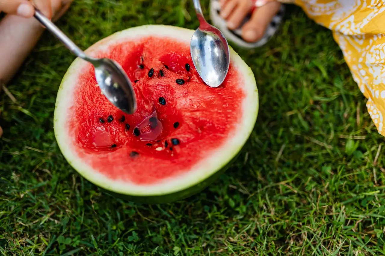 I Spent 30 Years Spitting Out Watermelon Seeds Image