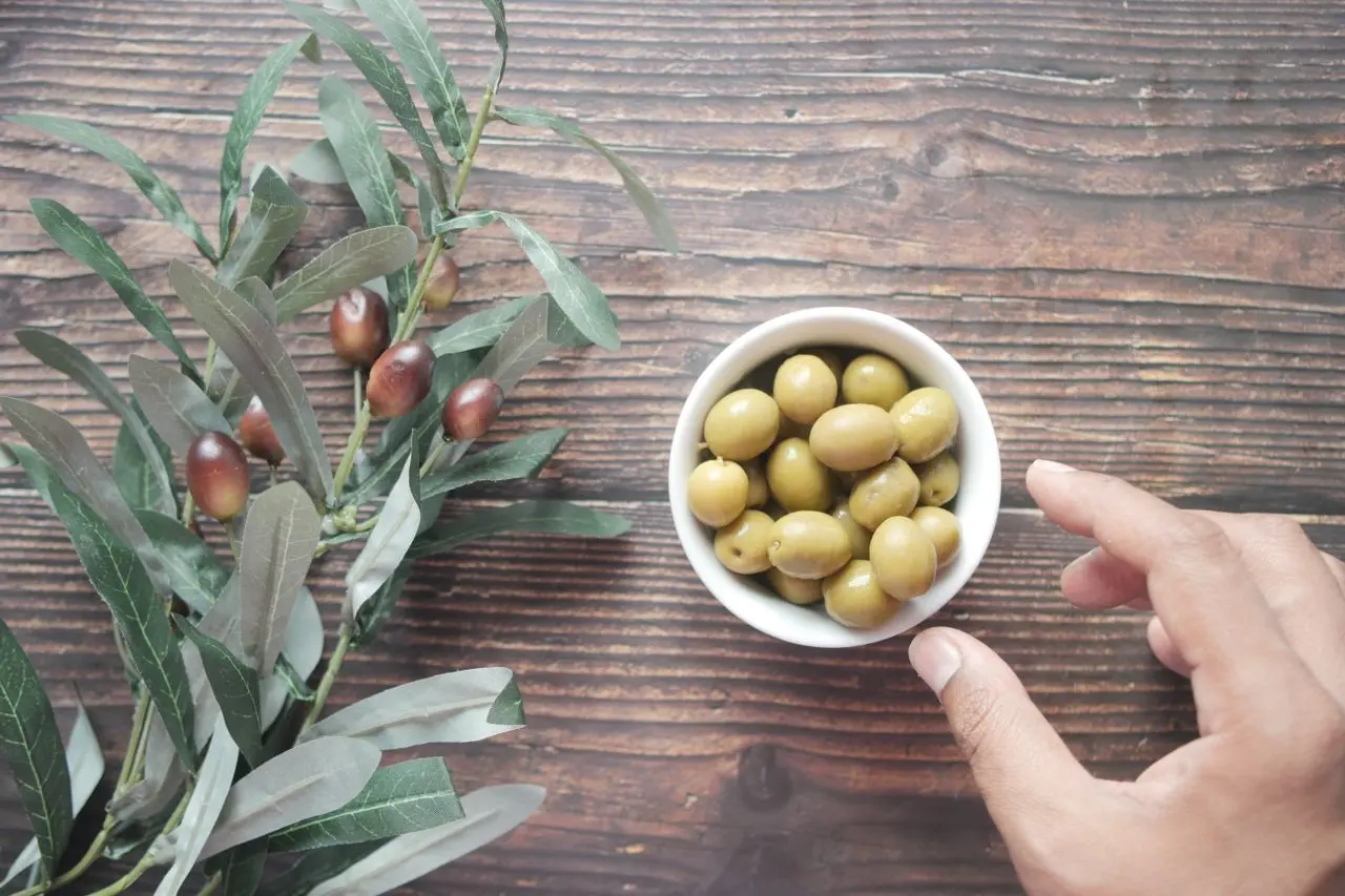 Olive Leaf Benefits Image