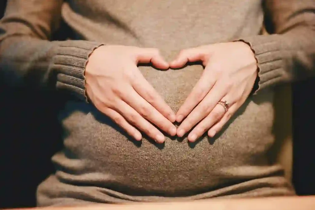 pregnancy Image