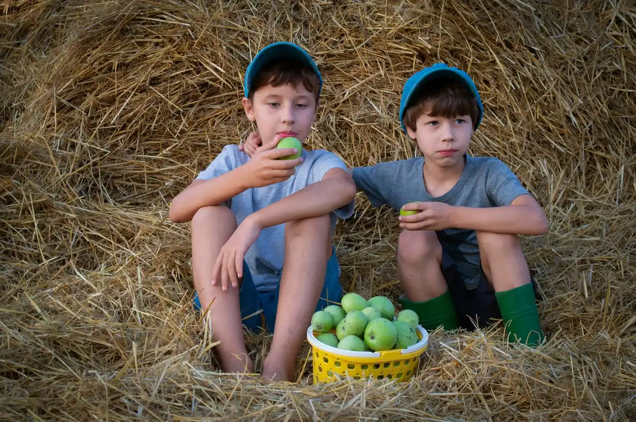 Can I eat guava on an empty stomach Image