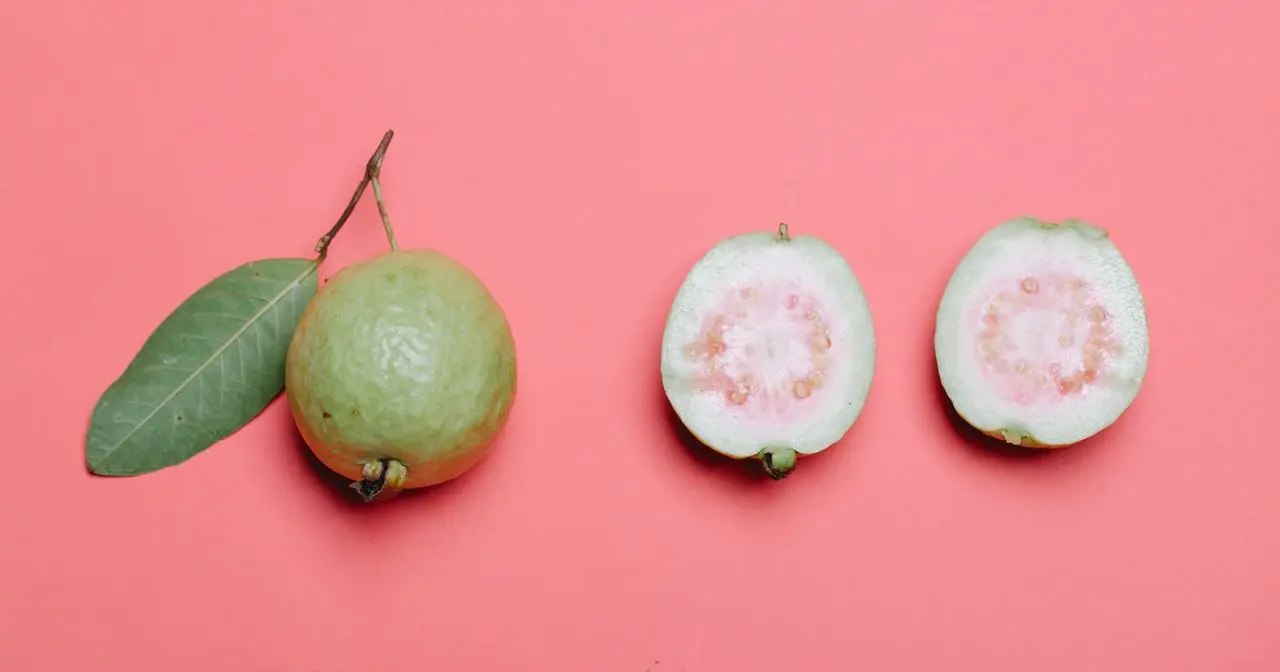 Guava Seeds Image