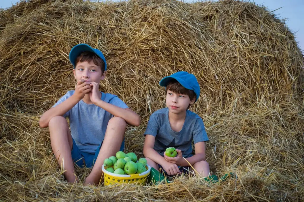 Is Guava Safe for Babies? Image