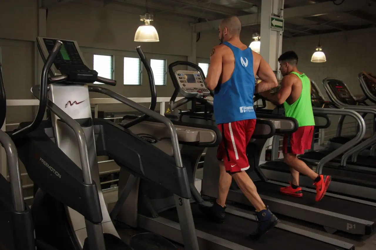 Can Cardio Build Muscle Image