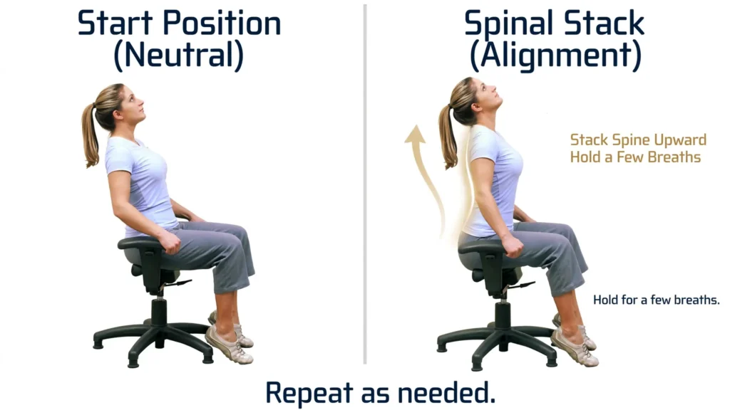 Seated spinal stacking posture correction exercise Image
