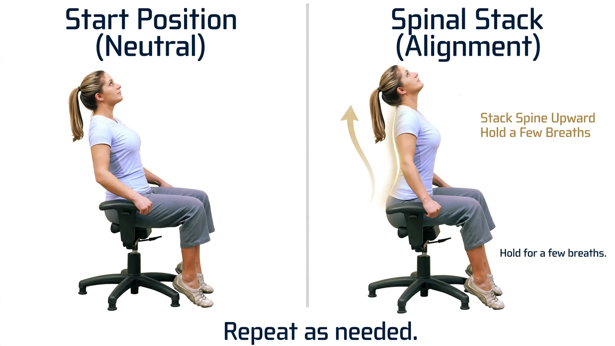 Seated spinal stacking posture correction exercise Image