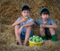 Can I eat guava on an empty stomach Image